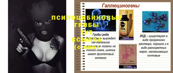 амф Богданович