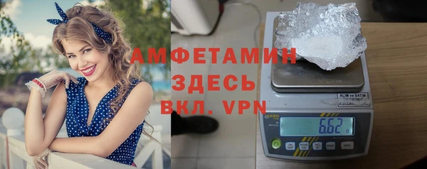 молекула духа Бородино