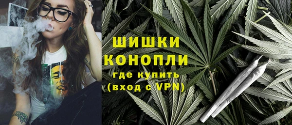 молекула духа Бородино