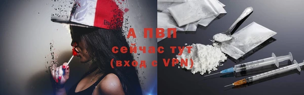 амф Богданович