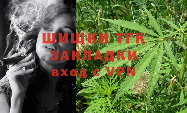 амф Богданович